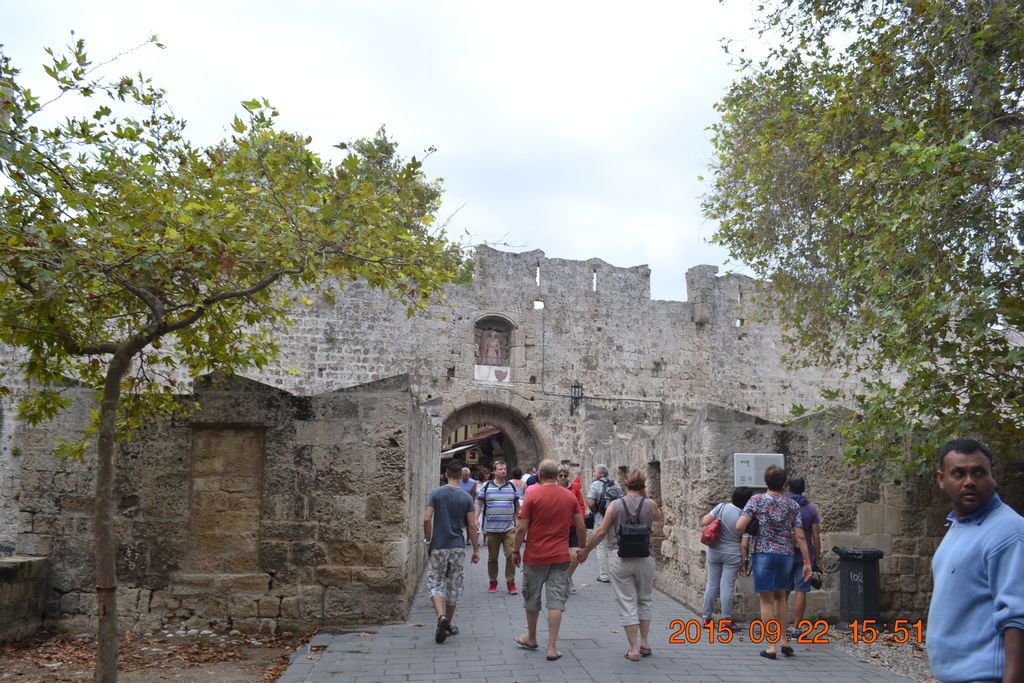 DSC_0545 DSC_0545