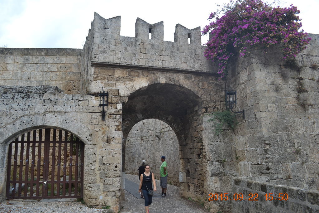 DSC_0540 DSC_0540