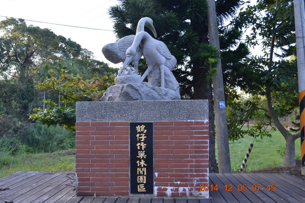 DSC_0004 DSC_0004