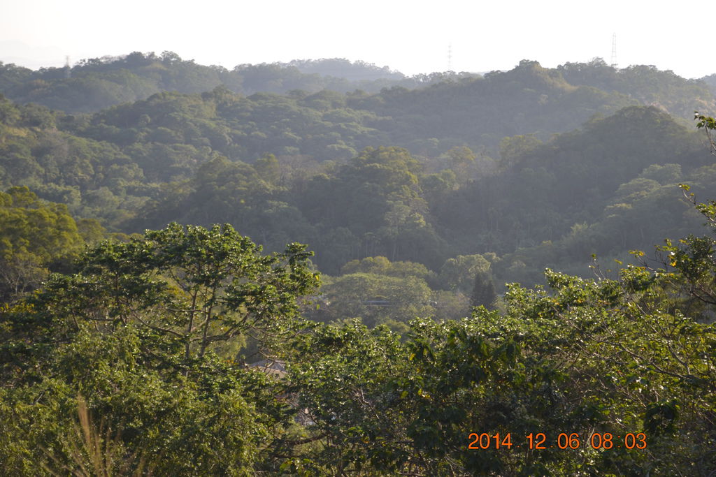 DSC_0030 DSC_0030