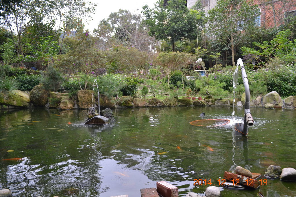 DSC_0357 DSC_0357