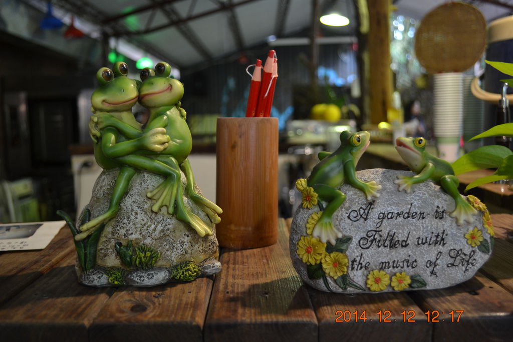 DSC_0351 DSC_0351