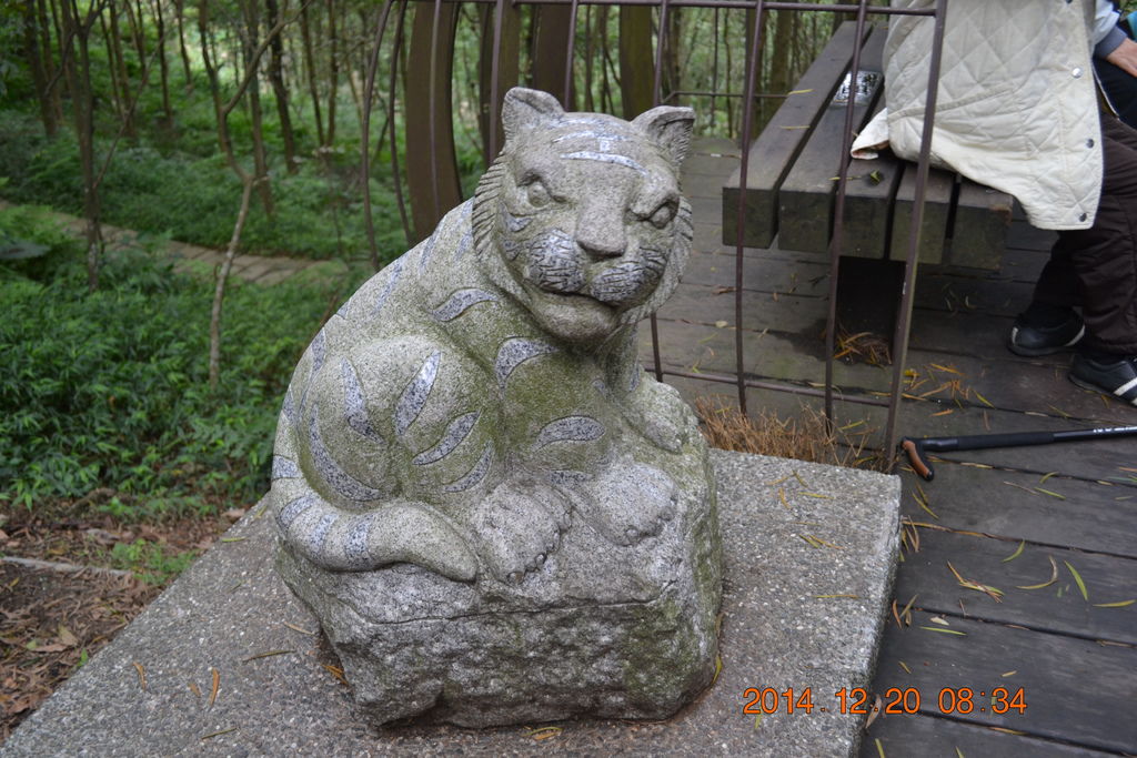 DSC_0030 DSC_0030