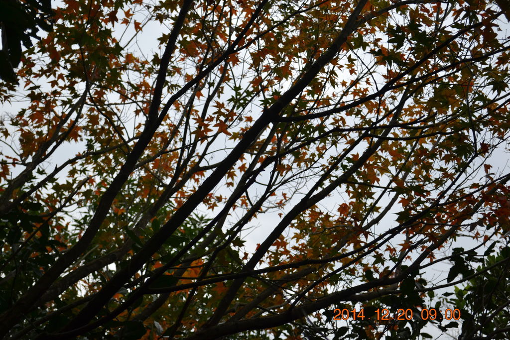 DSC_0051 DSC_0051