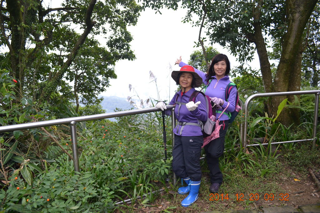 DSC_0085 DSC_0085