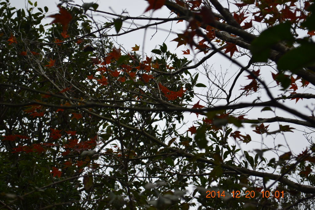 DSC_0102 DSC_0102