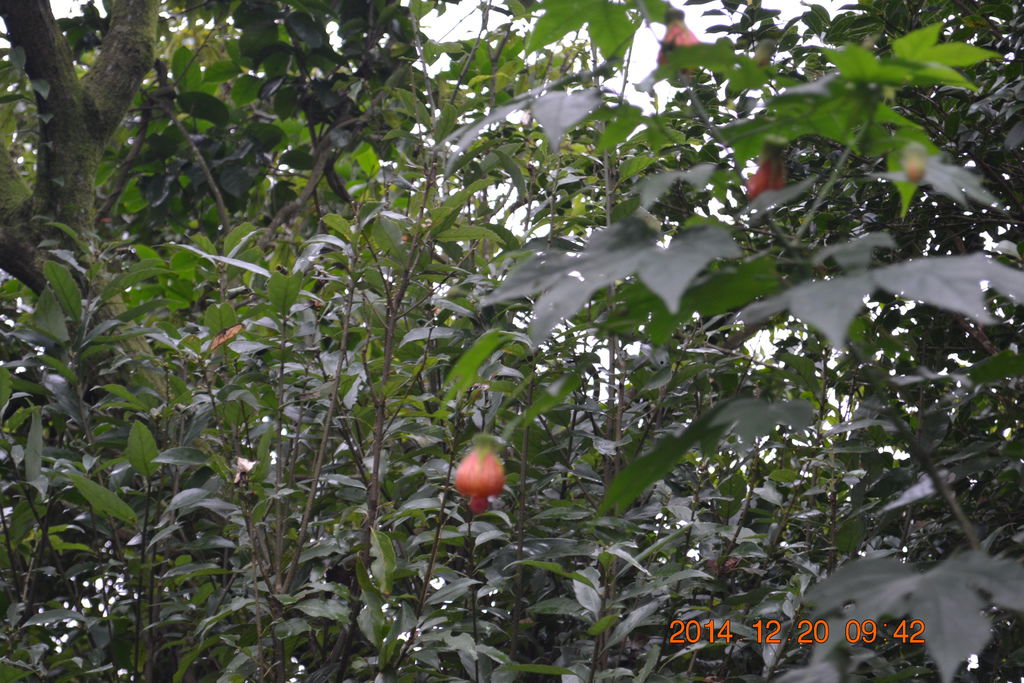 DSC_0094 DSC_0094