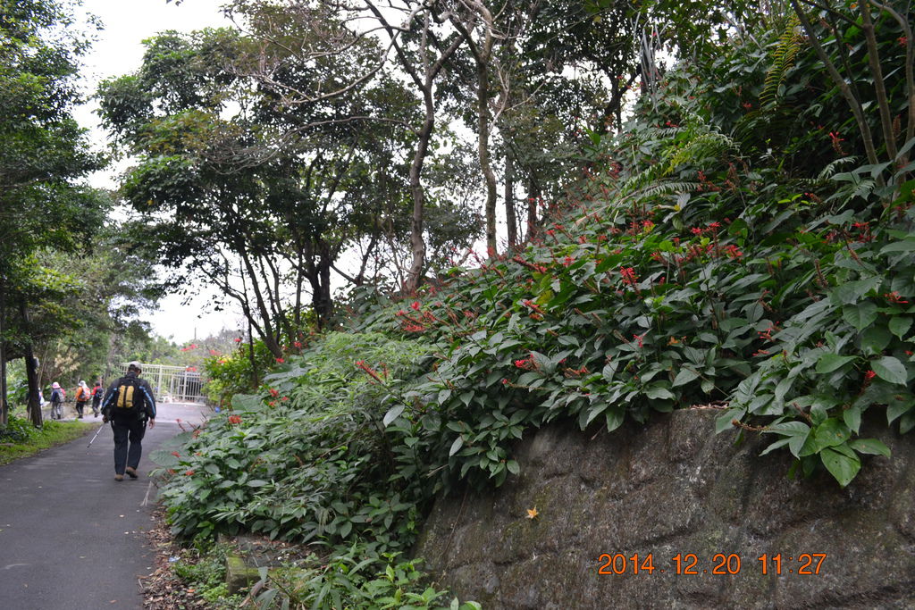 DSC_0121 DSC_0121