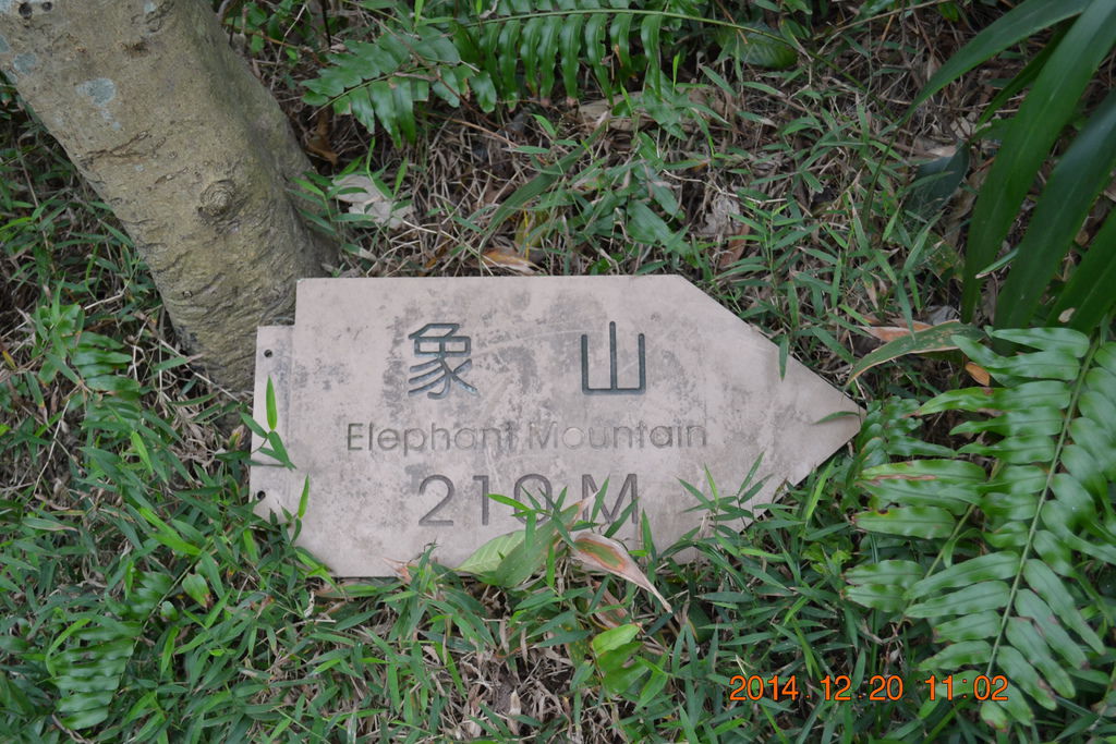 DSC_0112 DSC_0112
