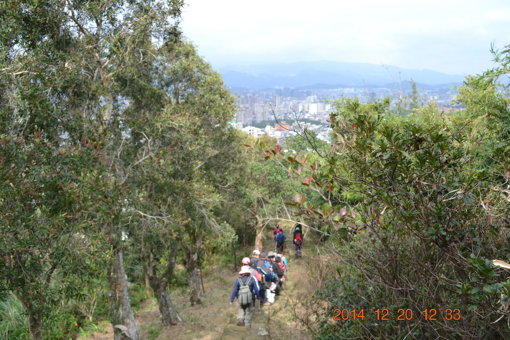 DSC_0147 DSC_0147