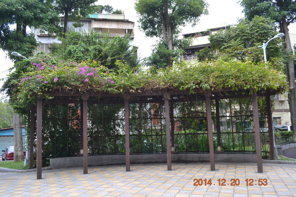 DSC_0156 DSC_0156