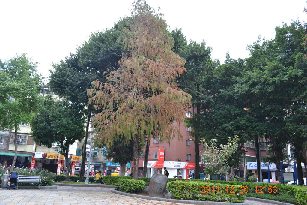 DSC_0158 DSC_0158