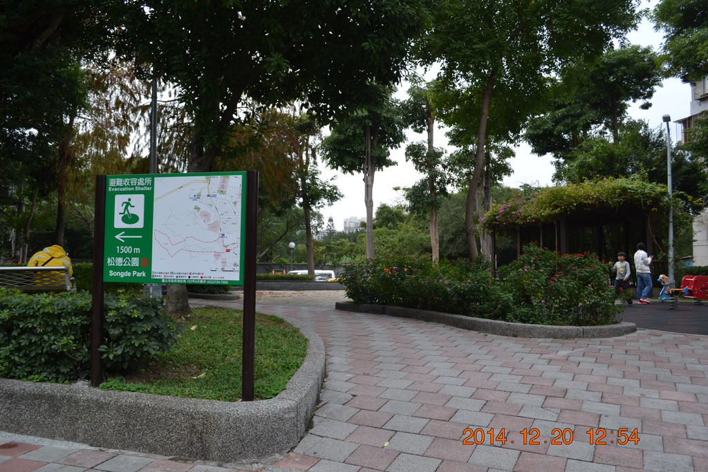DSC_0162 DSC_0162