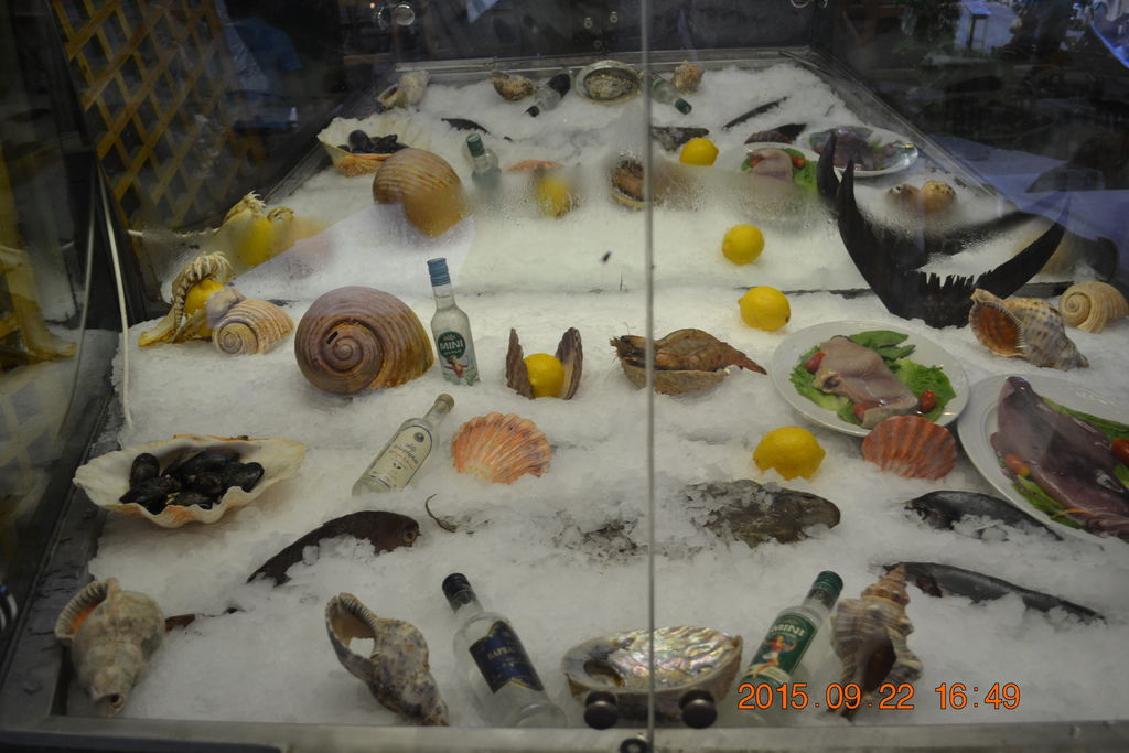DSC_0665 DSC_0665