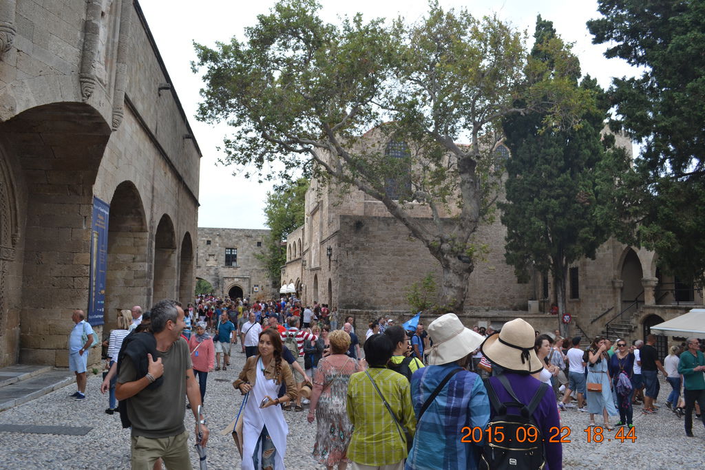 DSC_0685 DSC_0685