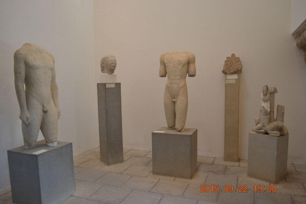 DSC_0719 DSC_0719