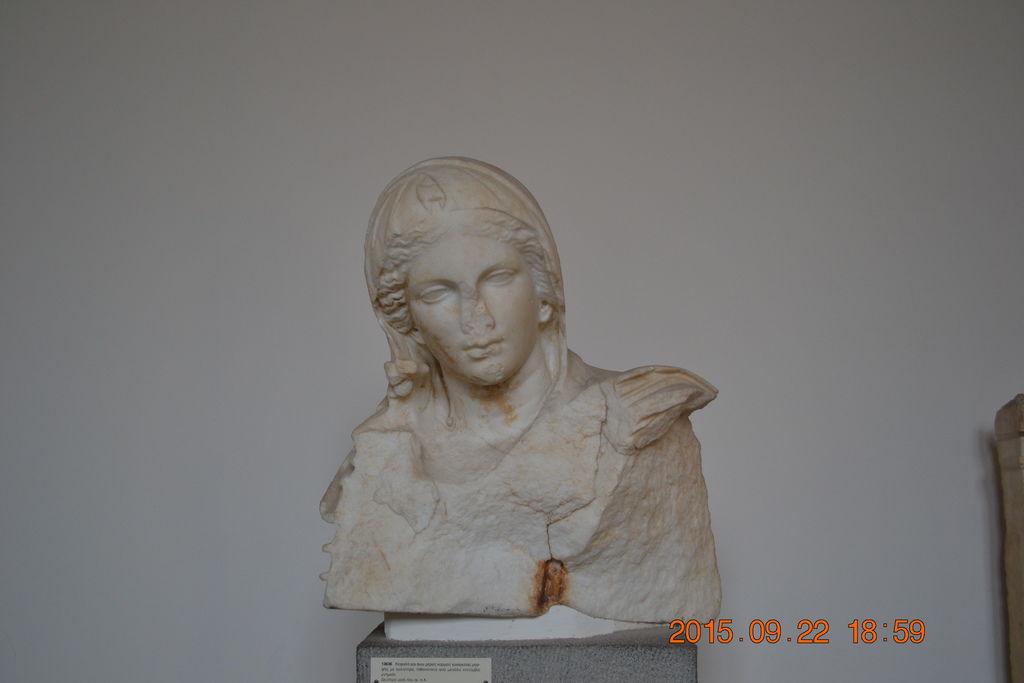 DSC_0718 DSC_0718