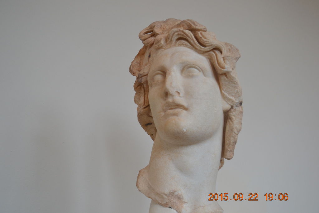 DSC_0724 DSC_0724