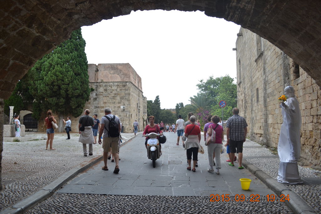 DSC_0737 DSC_0737