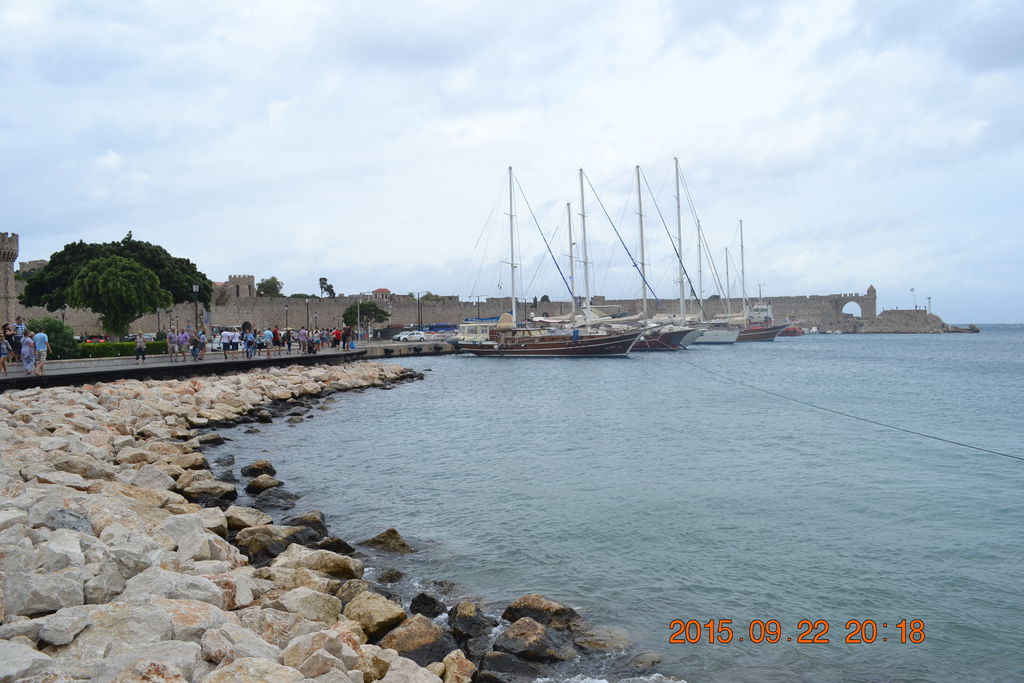 DSC_0808 DSC_0808