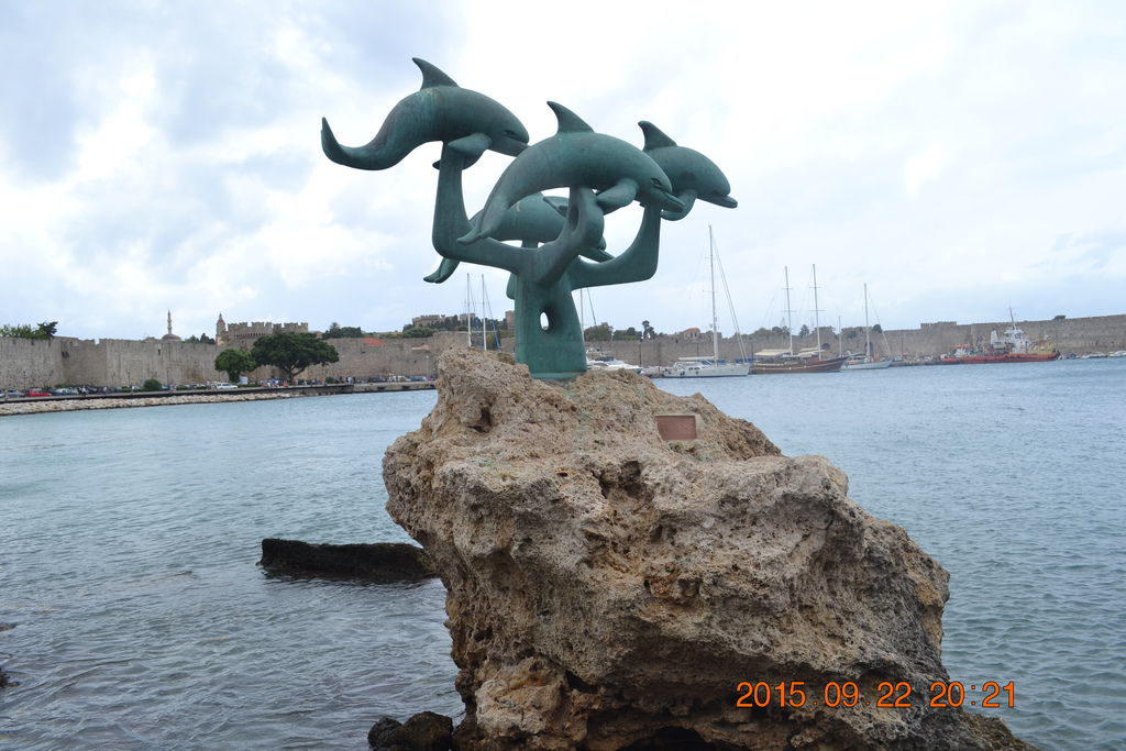 DSC_0813 DSC_0813