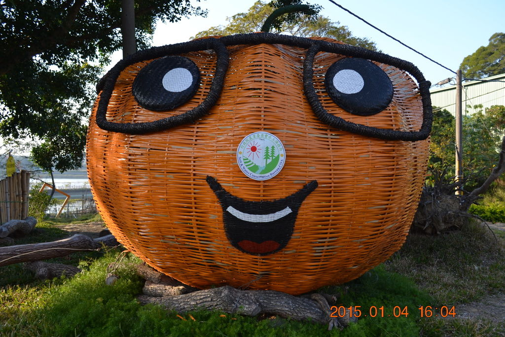 DSC_0055 DSC_0055