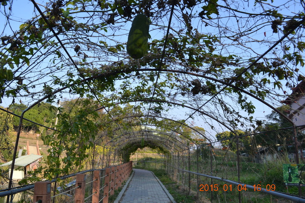 DSC_0067 DSC_0067