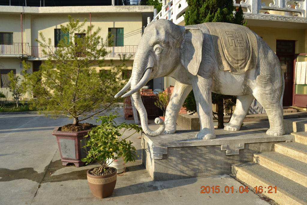 DSC_0085 DSC_0085