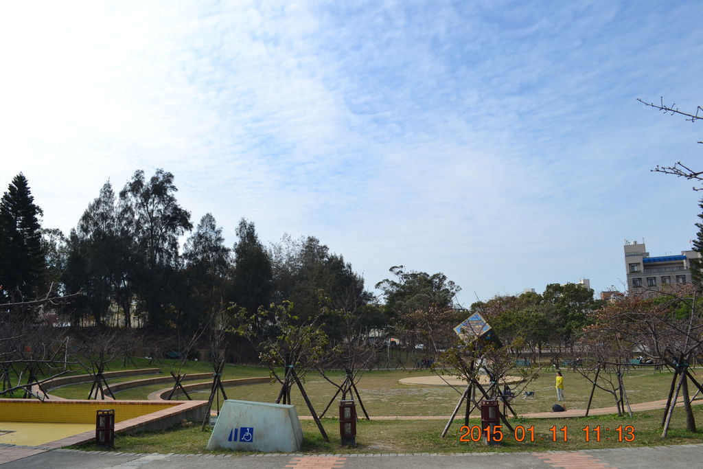 DSC_0011 DSC_0011