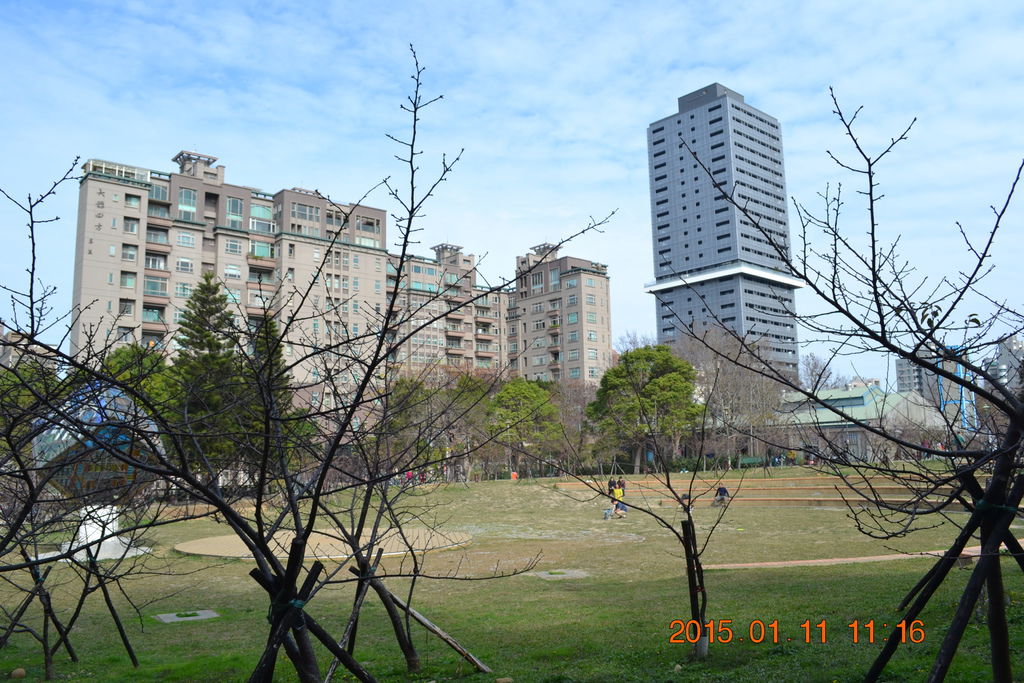 DSC_0018 DSC_0018