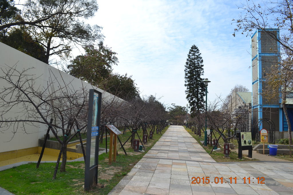 DSC_0008 DSC_0008