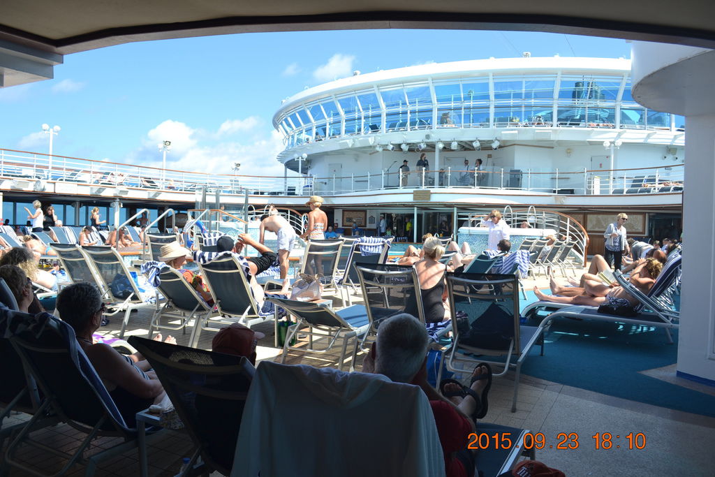 DSC_0950 DSC_0950