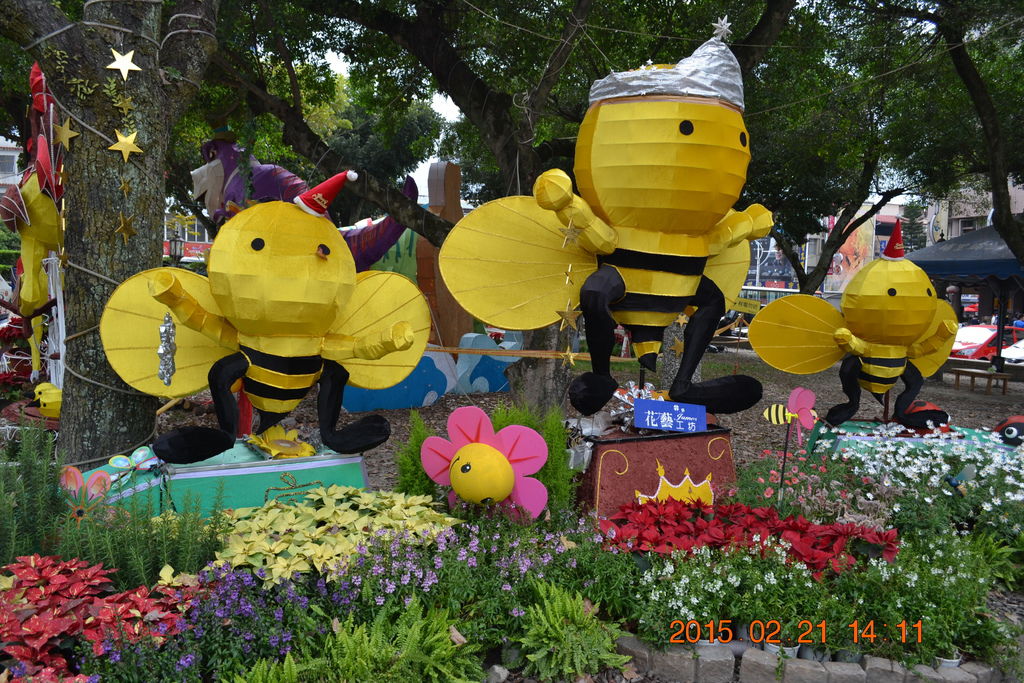 DSC_0026 DSC_0026