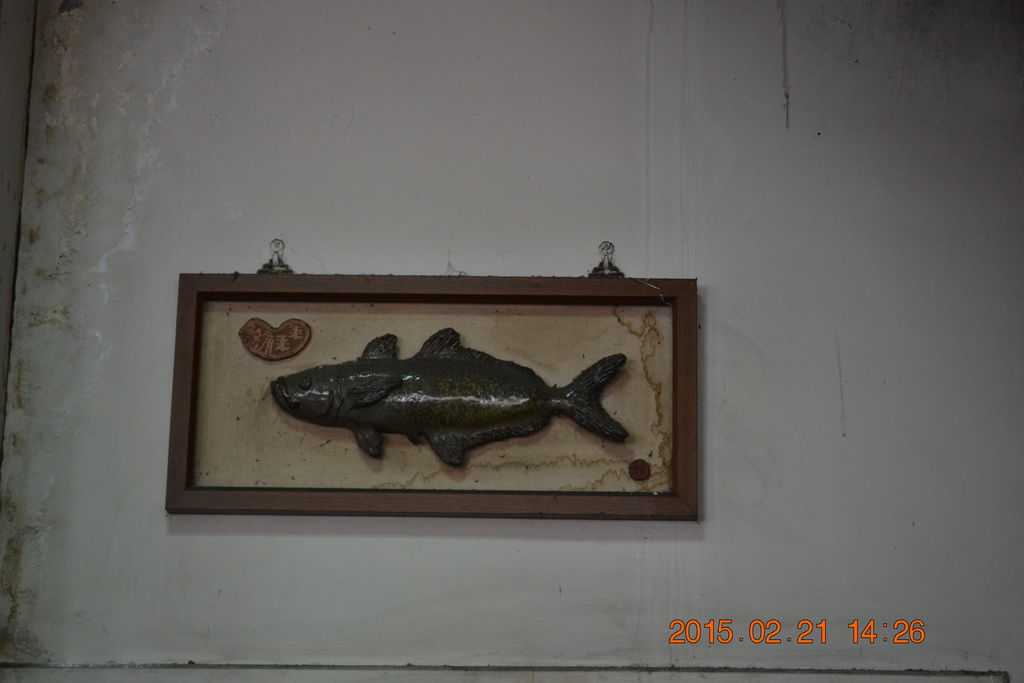 DSC_0051 DSC_0051