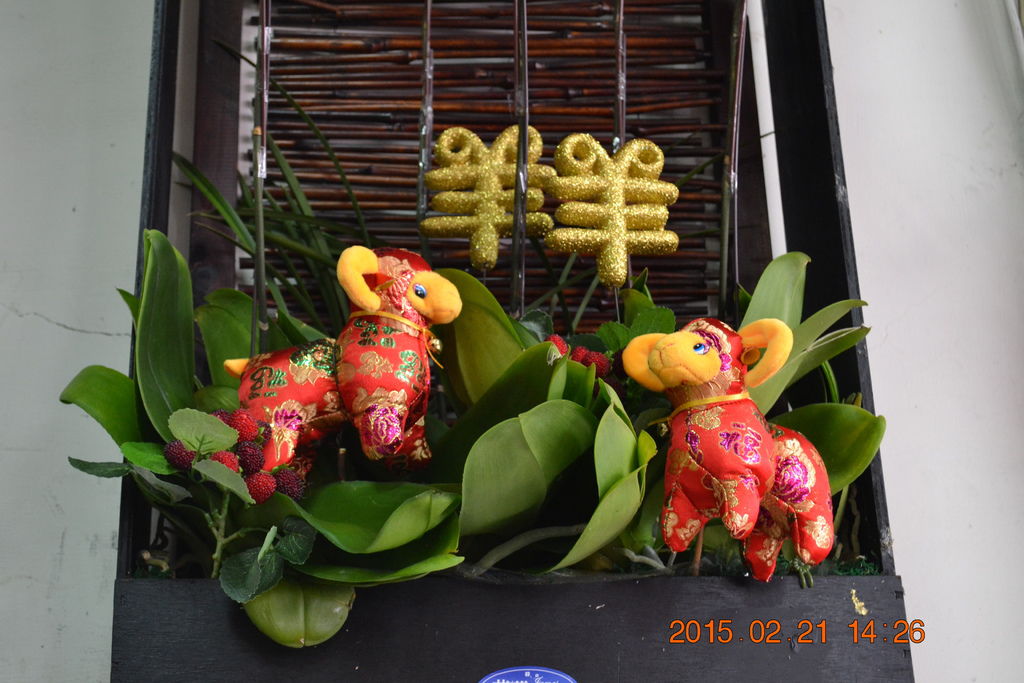 DSC_0052 DSC_0052