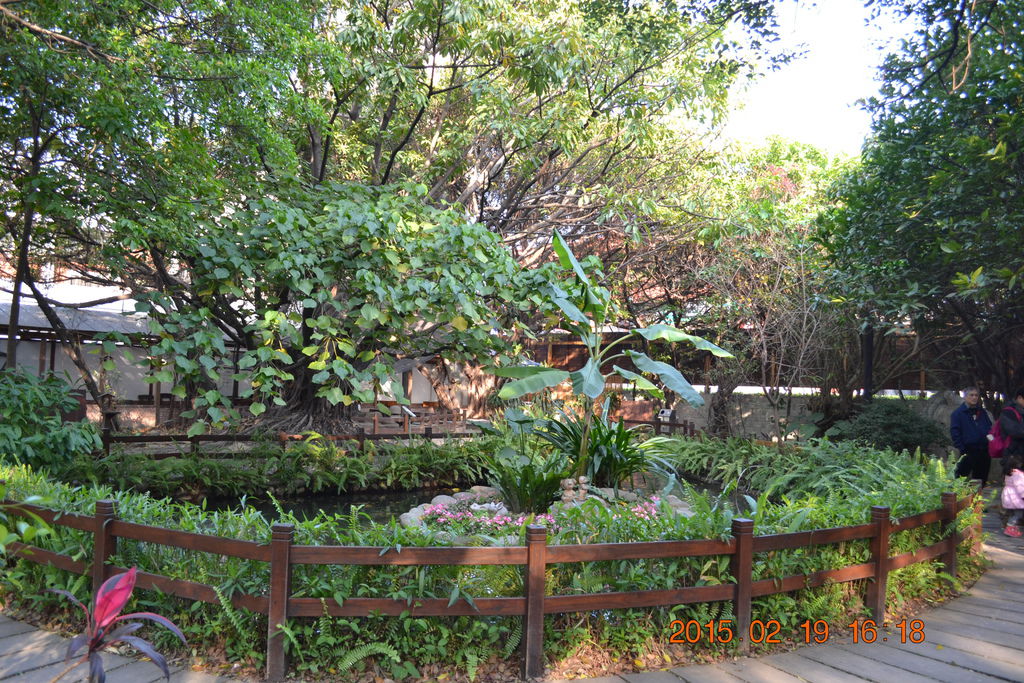 DSC_0028 DSC_0028
