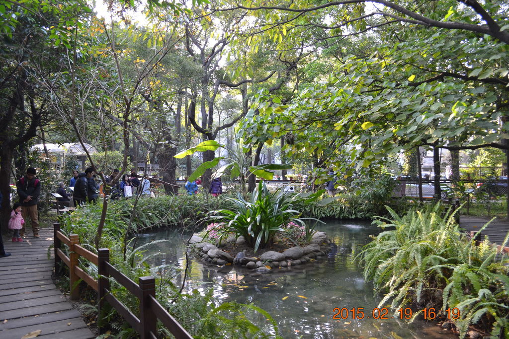 DSC_0031 DSC_0031
