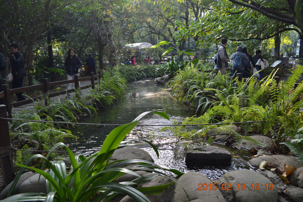 DSC_0034 DSC_0034