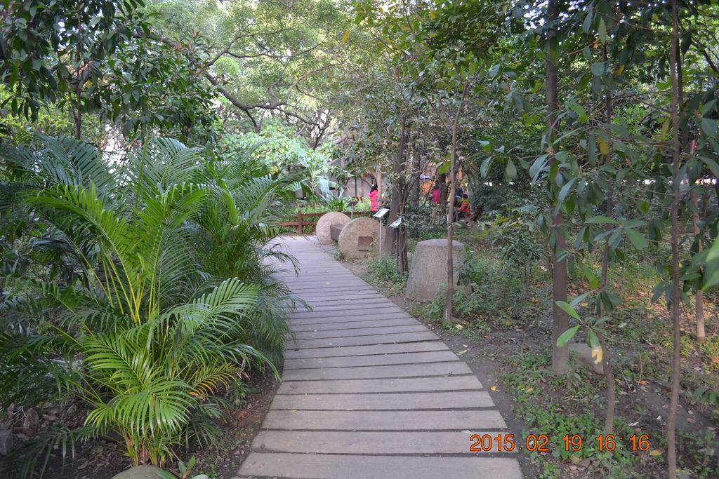 DSC_0023 DSC_0023