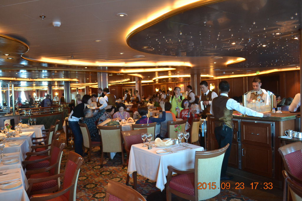 DSC_0973 DSC_0973