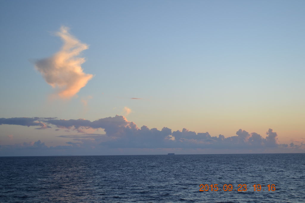 DSC_0994 DSC_0994