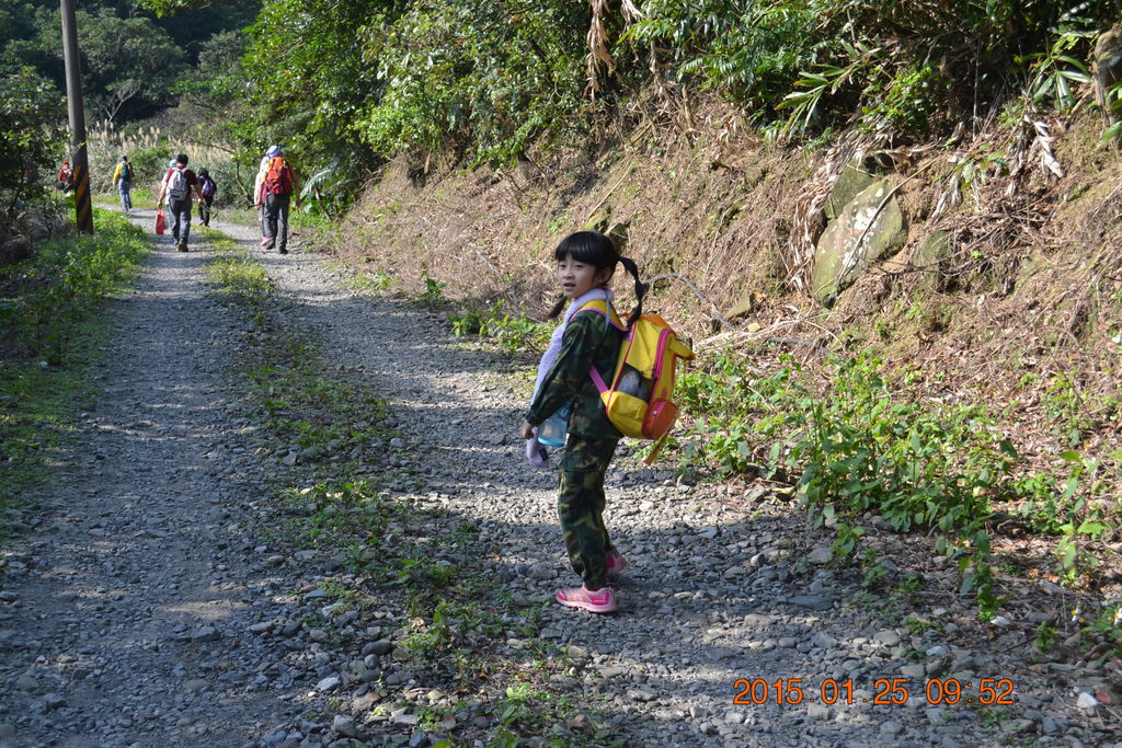 DSC_0060 DSC_0060