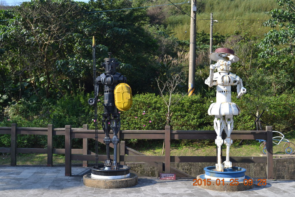 DSC_0040 DSC_0040