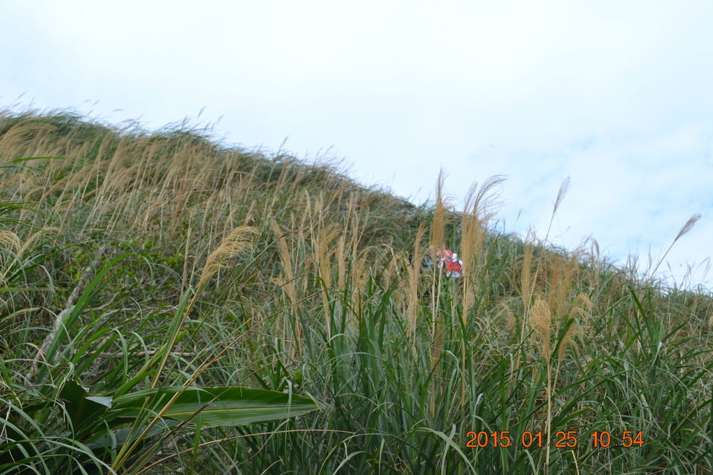 DSC_0074 DSC_0074