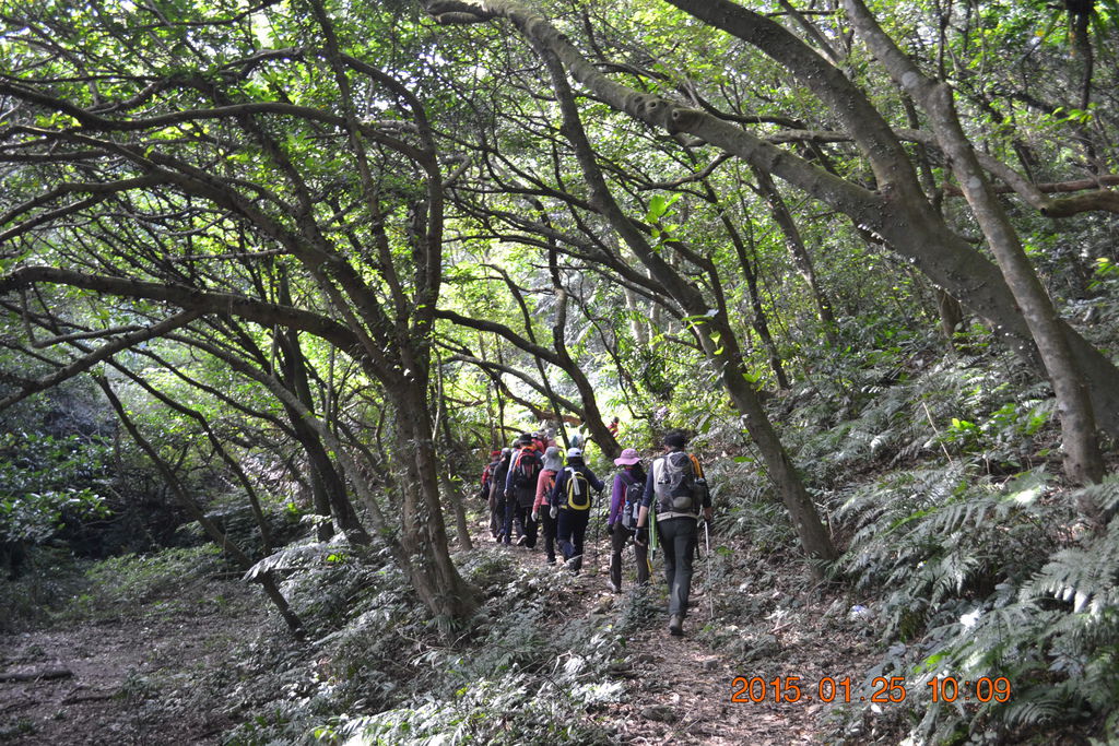 DSC_0065 DSC_0065