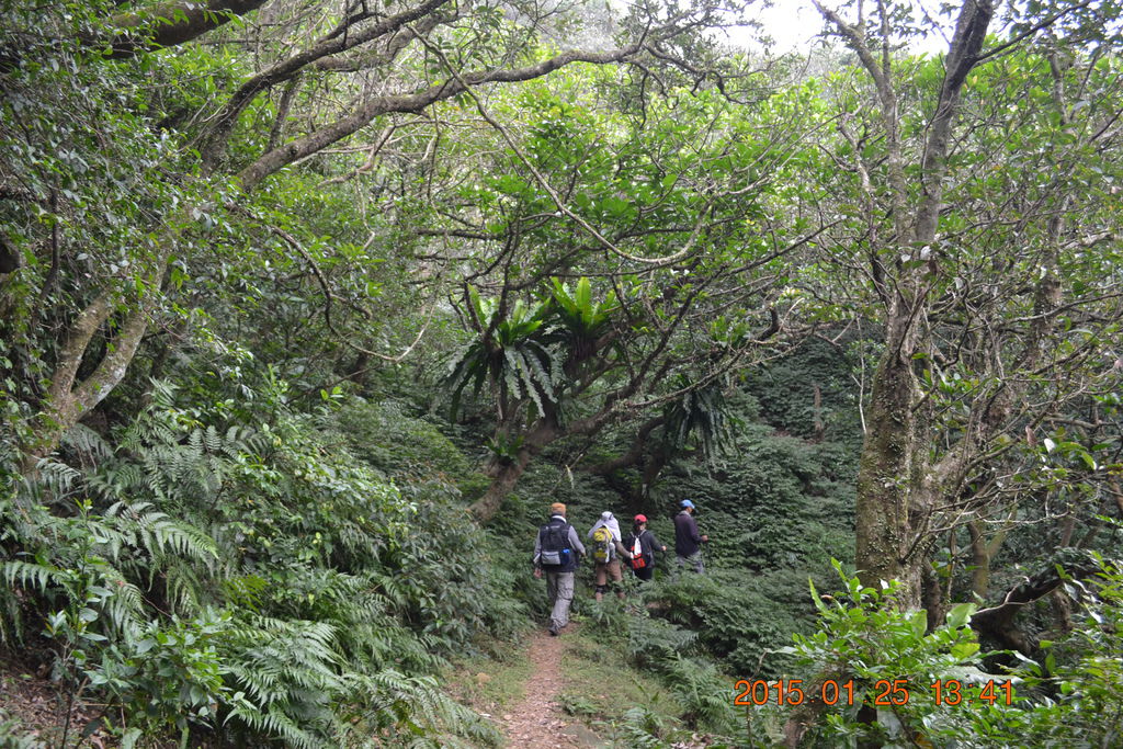 DSC_0141 DSC_0141