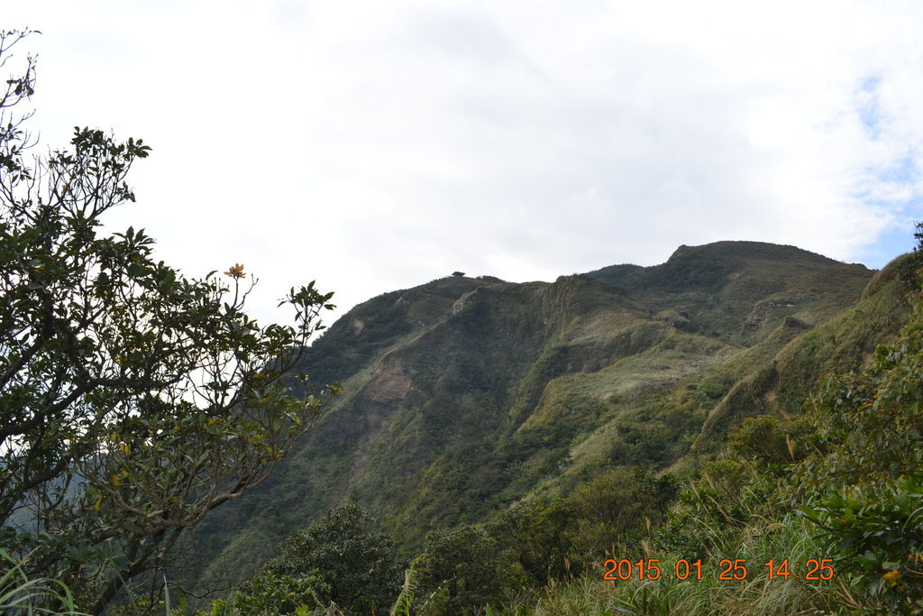 DSC_0165 DSC_0165