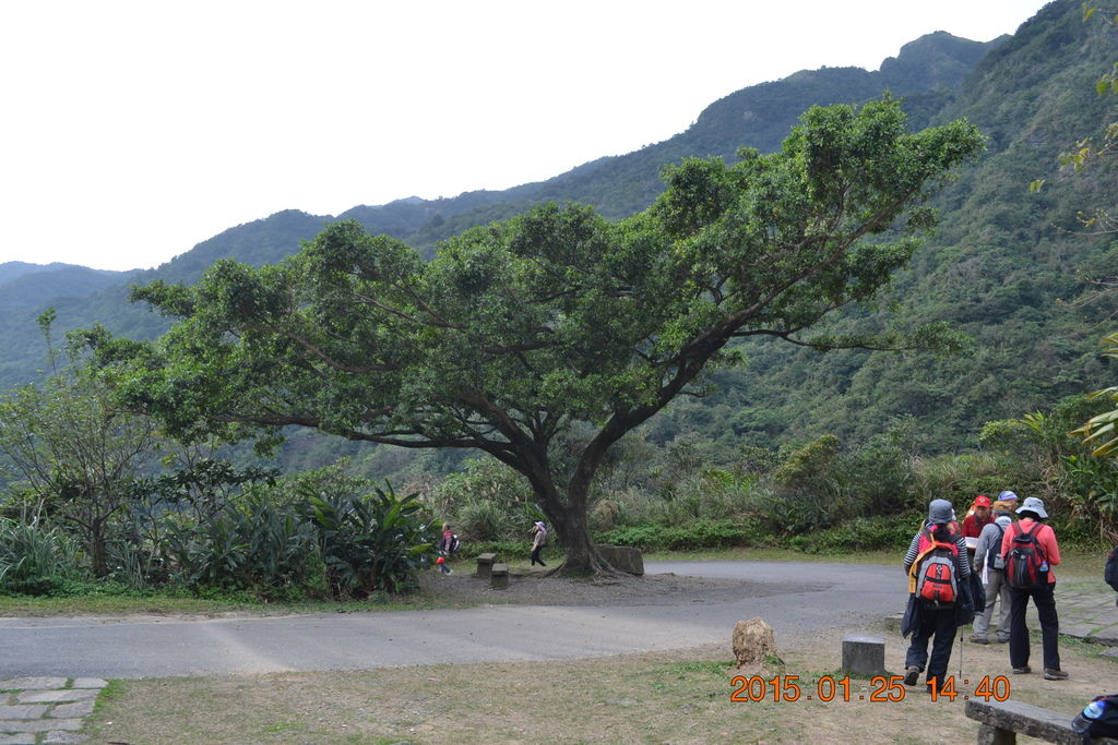 DSC_0178 DSC_0178
