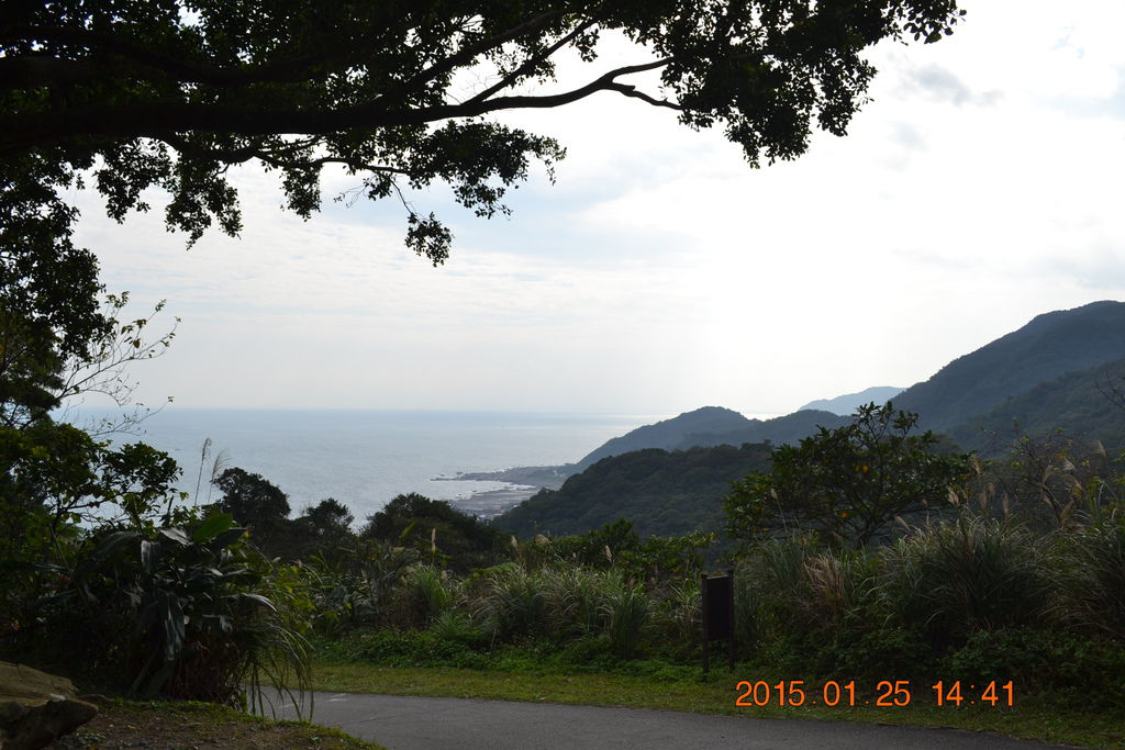 DSC_0184 DSC_0184