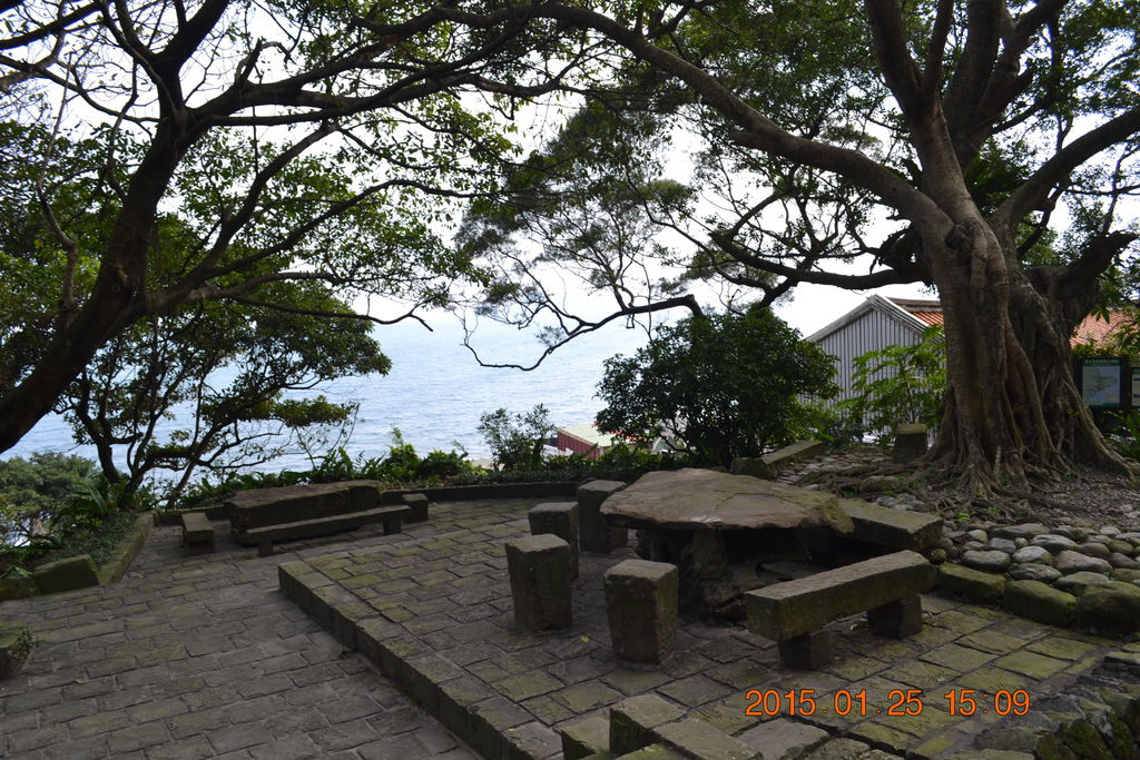 DSC_0193 DSC_0193